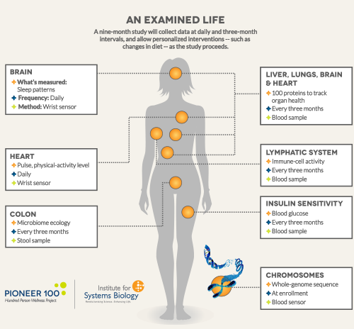 Infographic showing types of data