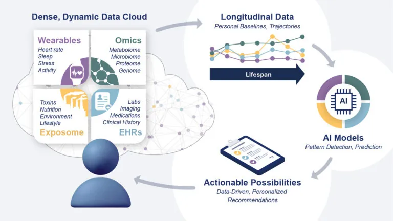 Diagram showing a cycle of precision health data. On the left, a user is surrounded by a "Dense, Dynamic Data Cloud" including Wearables, Omics, Exposome, and EHRs. Arrows point to "Longitudinal Data" tracking personal baselines over a lifespan. This feeds into "AI Models" for pattern detection, which outputs "Actionable Possibilities" for personalized recommendations, pointing back to the user.